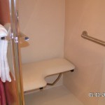 Handicap seat in shower if needed - Splash 2002E